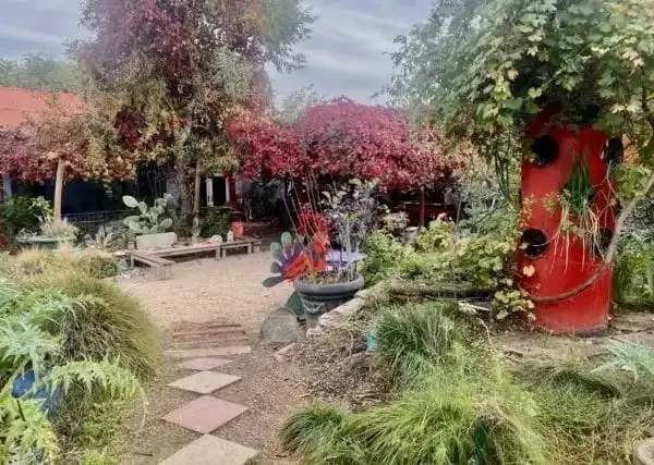 The central "Butterfly Garden" at the 76 Race Street garden.